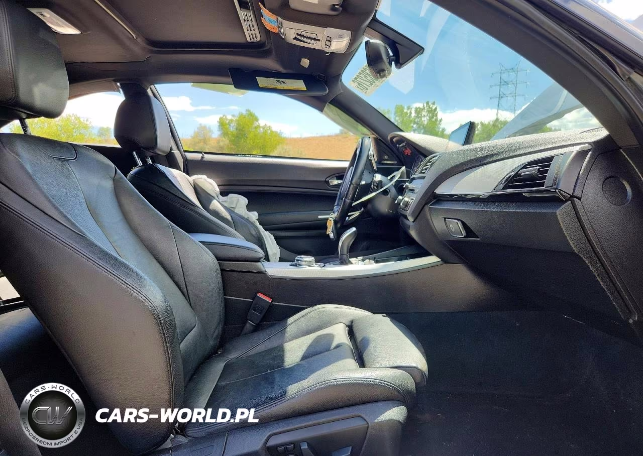 2015 BMW 228 Xi VIN:WBA1F7C52FVX95547 - 7