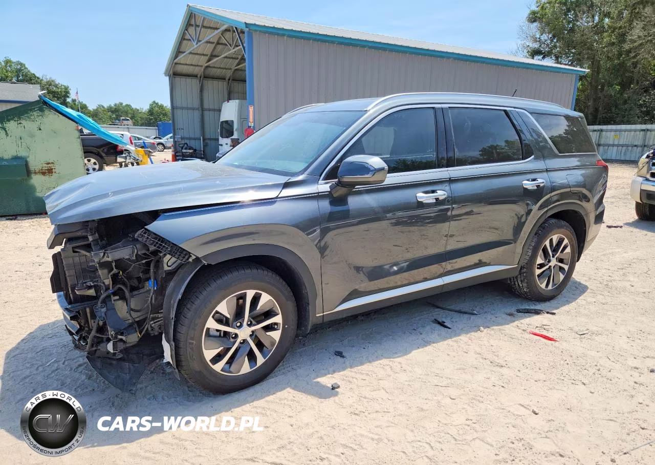 2021 Hyundai Palisade Sel VIN:KM8R24HE1MU208388 - 1