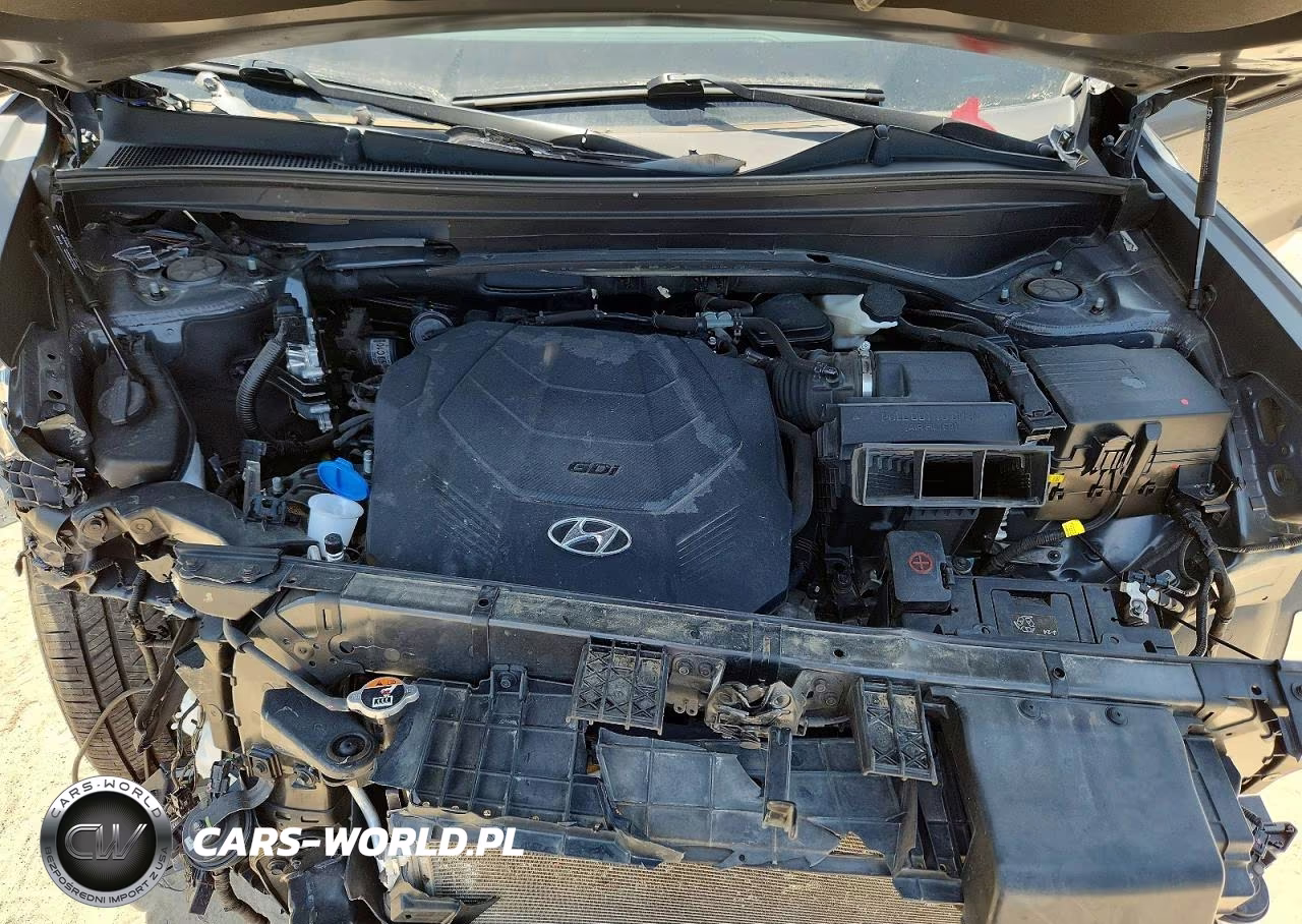2021 Hyundai Palisade Sel VIN:KM8R24HE1MU208388 - 12