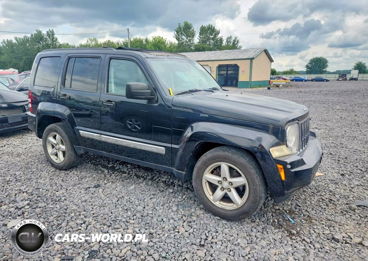 2008 Jeep Liberty Limited VIN:1J8GN58K18W217318 - 4