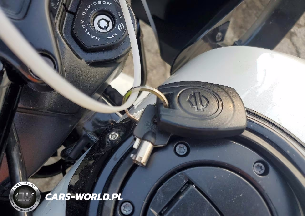 2025 Harley-Davidson Fltrx VIN:1HD1KH713SB616230 - 8