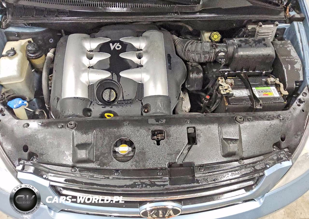 2007 Kia Sedona Base VIN:KNDMB233976169714 - 11