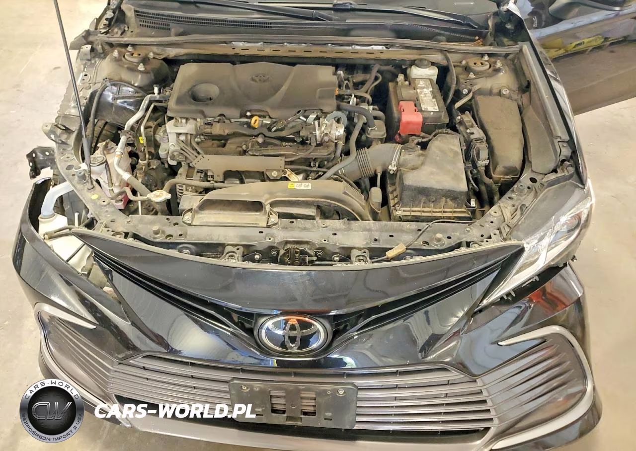 2022 Toyota Camry Le VIN:4T1C11AK0NU696970 - 11