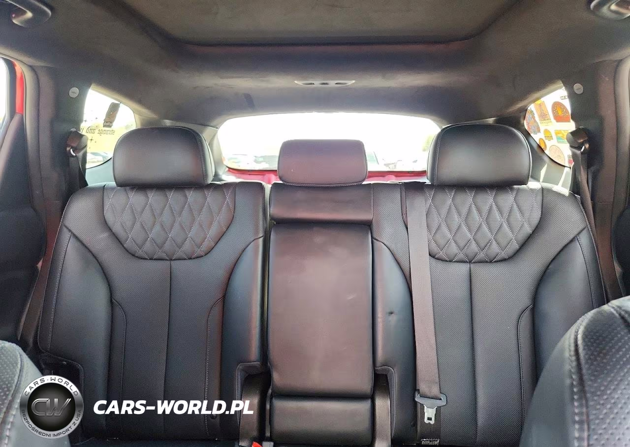 2023 Hyundai Santa Fe Calligraphy VIN:5NMS5DAL2PH528899 - 10