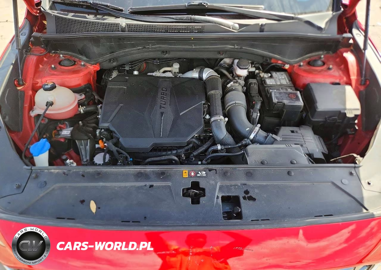 2023 Hyundai Santa Fe Calligraphy VIN:5NMS5DAL2PH528899 - 12