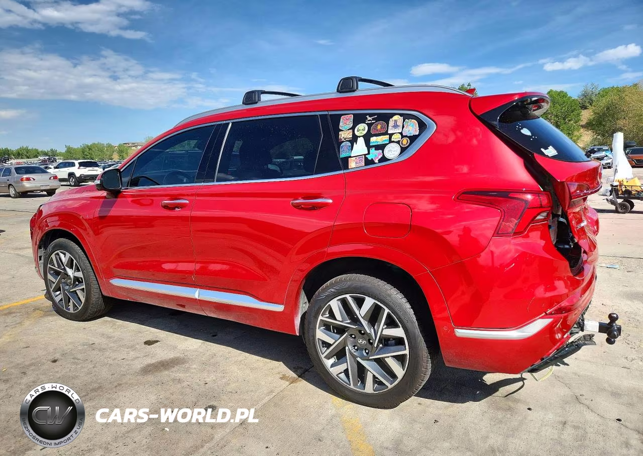 2023 Hyundai Santa Fe Calligraphy VIN:5NMS5DAL2PH528899 - 2