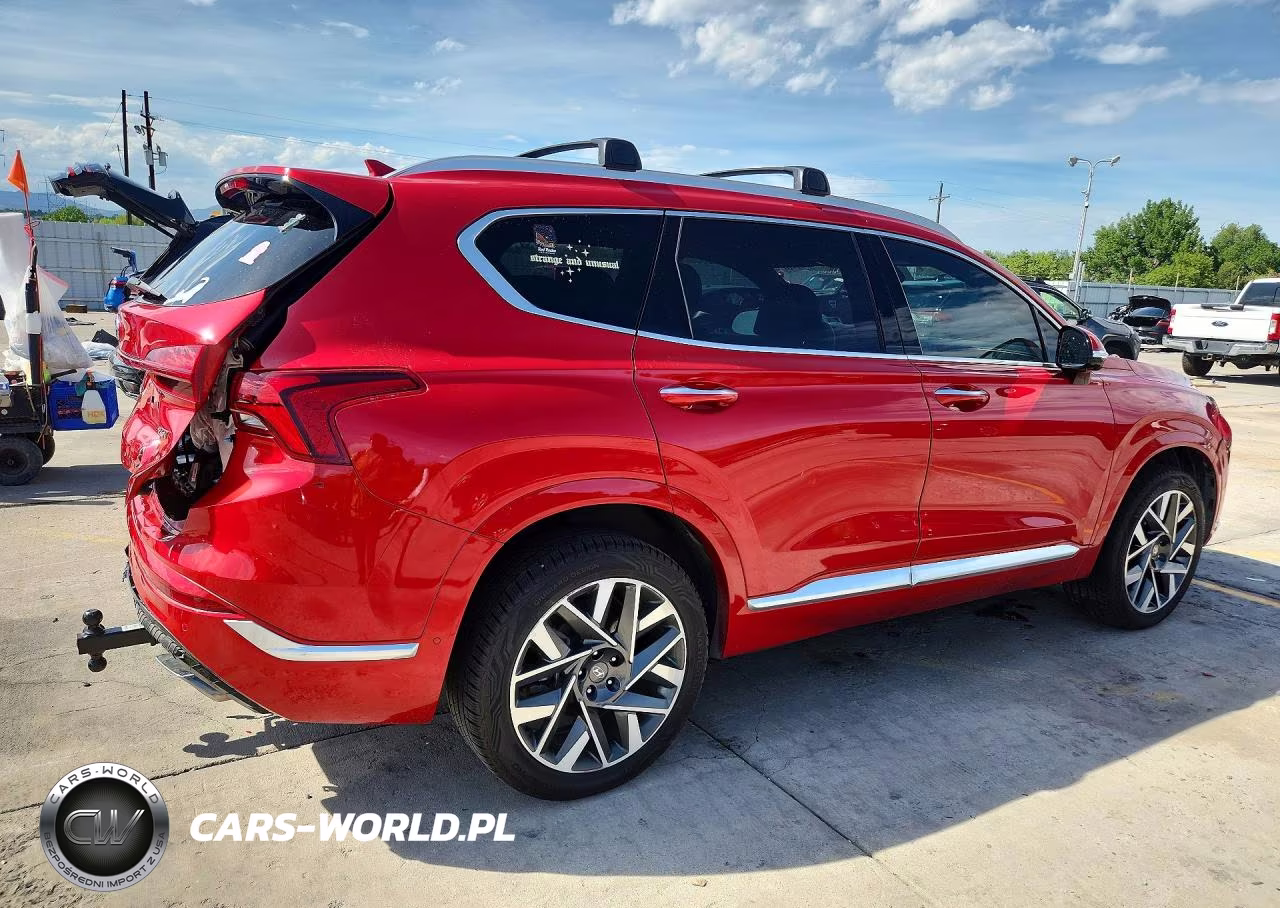 2023 Hyundai Santa Fe Calligraphy VIN:5NMS5DAL2PH528899 - 3
