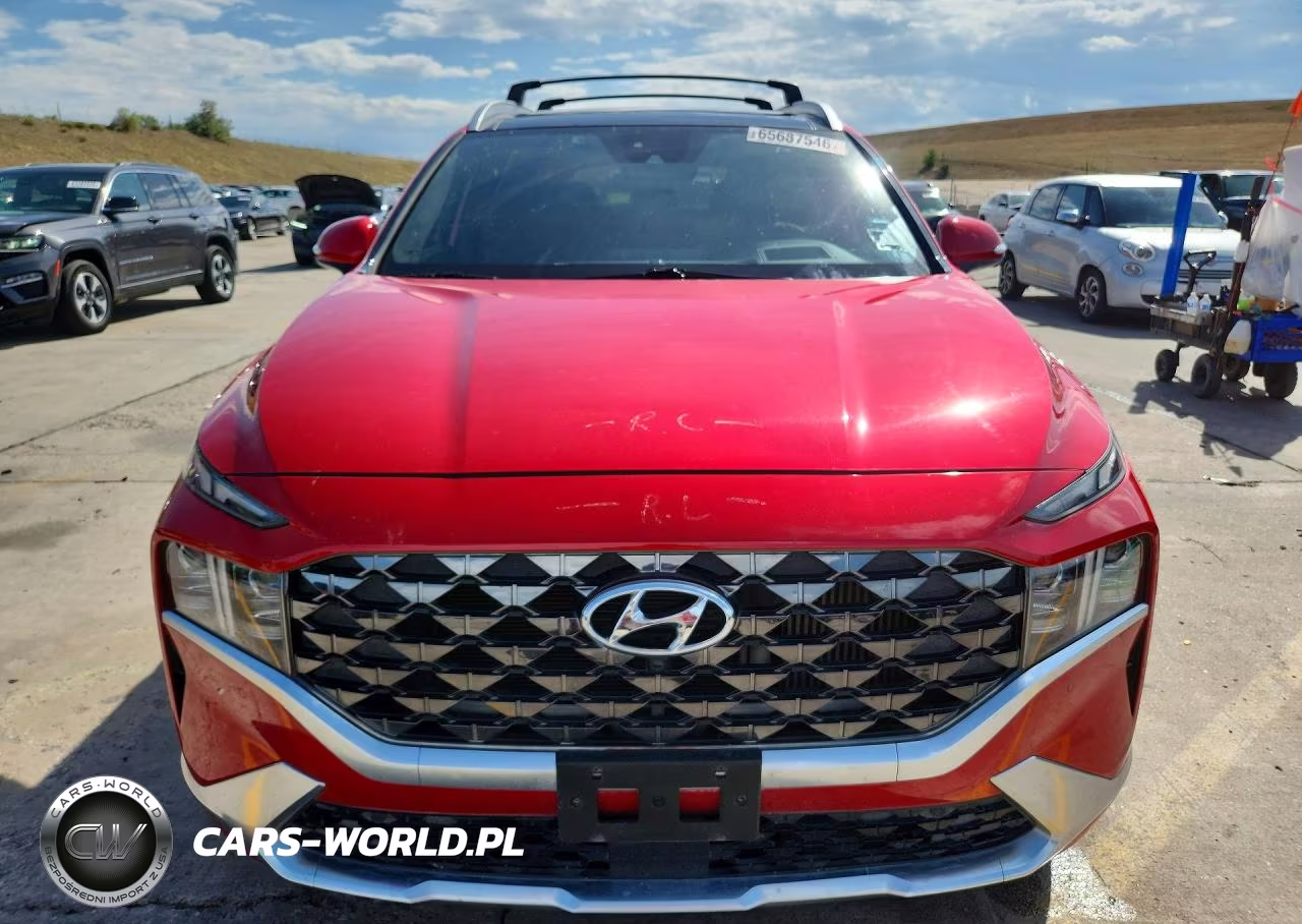 2023 Hyundai Santa Fe Calligraphy VIN:5NMS5DAL2PH528899 - 5