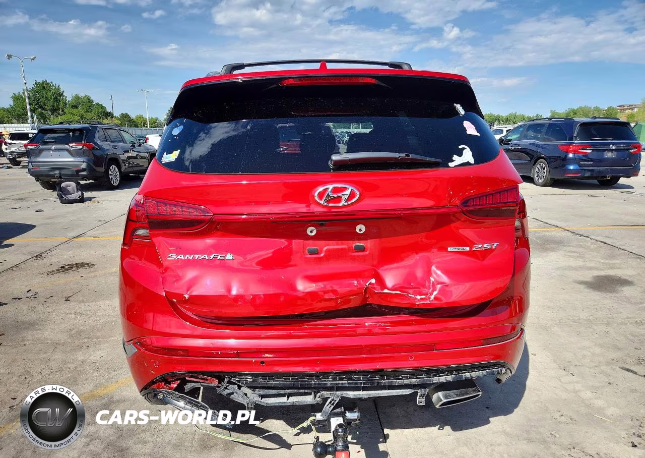 2023 Hyundai Santa Fe Calligraphy VIN:5NMS5DAL2PH528899 - 6