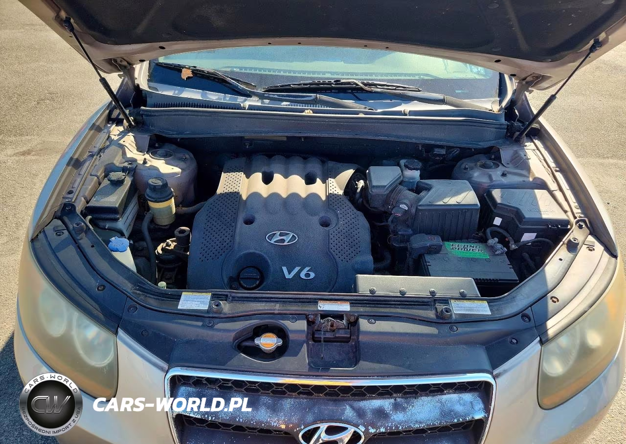 2007 Hyundai Santa Fe Gls VIN:5NMSG13D57H099479 - 12