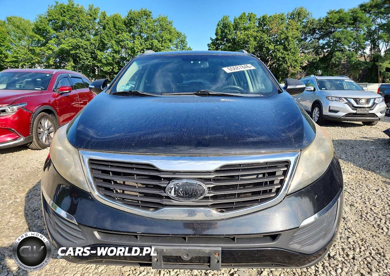 2012 Kia Sportage Lx VIN:KNDPBCA25C7229019 - 5