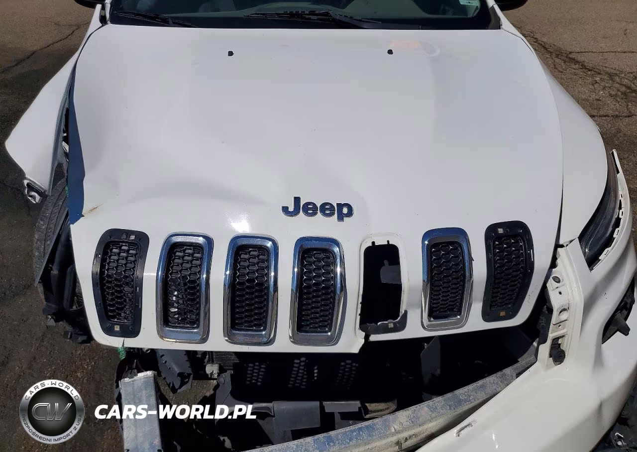 2014 Jeep Cherokee Sport VIN:1C4PJMAB2EW233112 - 12