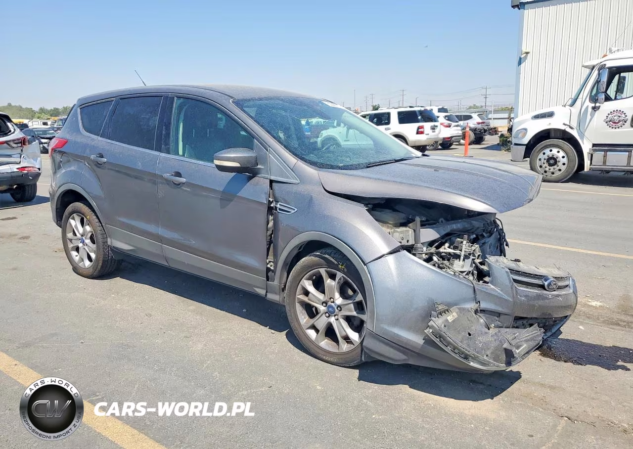 2013 Ford Escape Sel VIN:1FMCU0HX2DUA75117 - 4