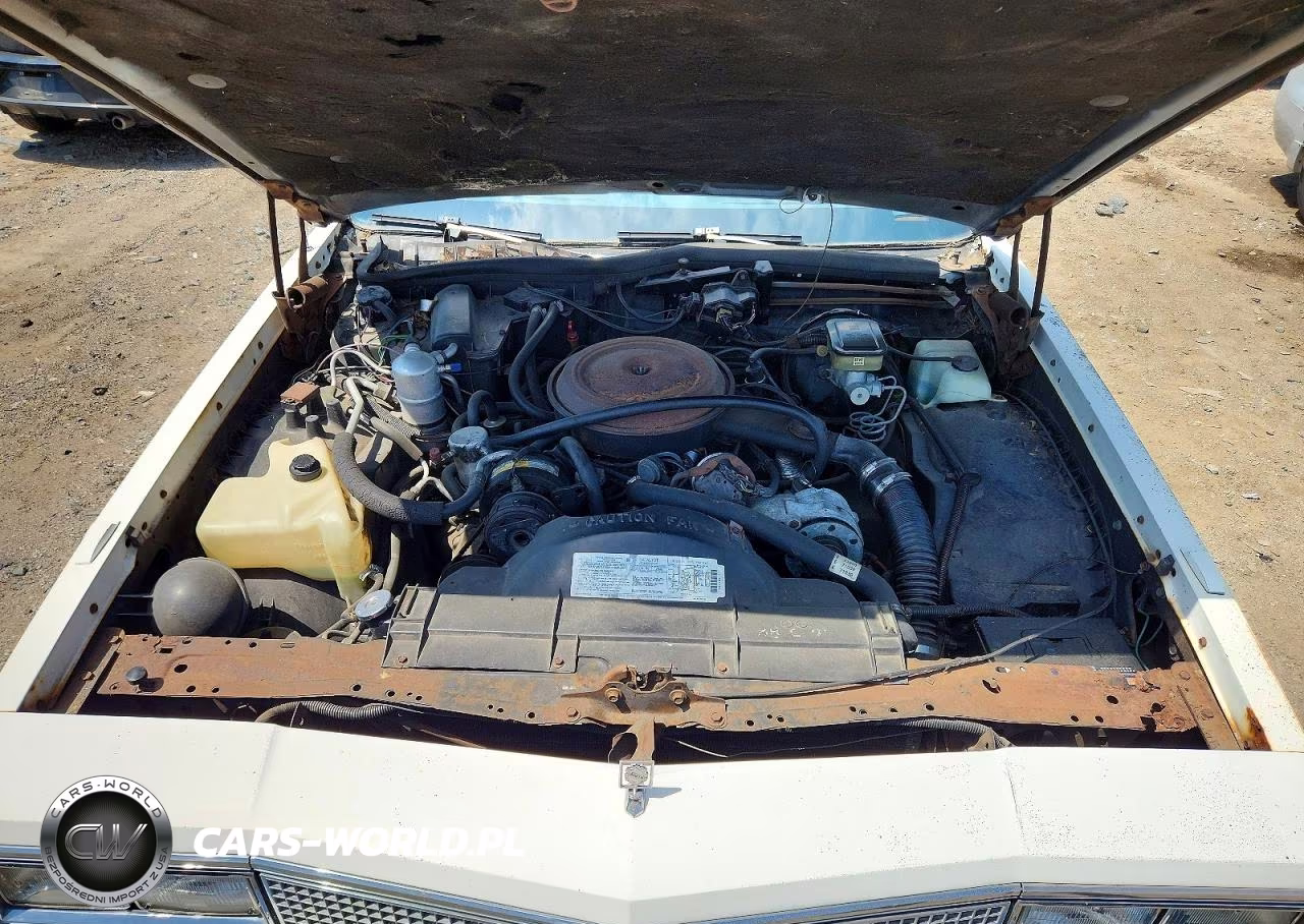 1984 Oldsmobile Delta 88 Royale Brougham Ls VIN:1G3AV69Y8E9749245 - 11