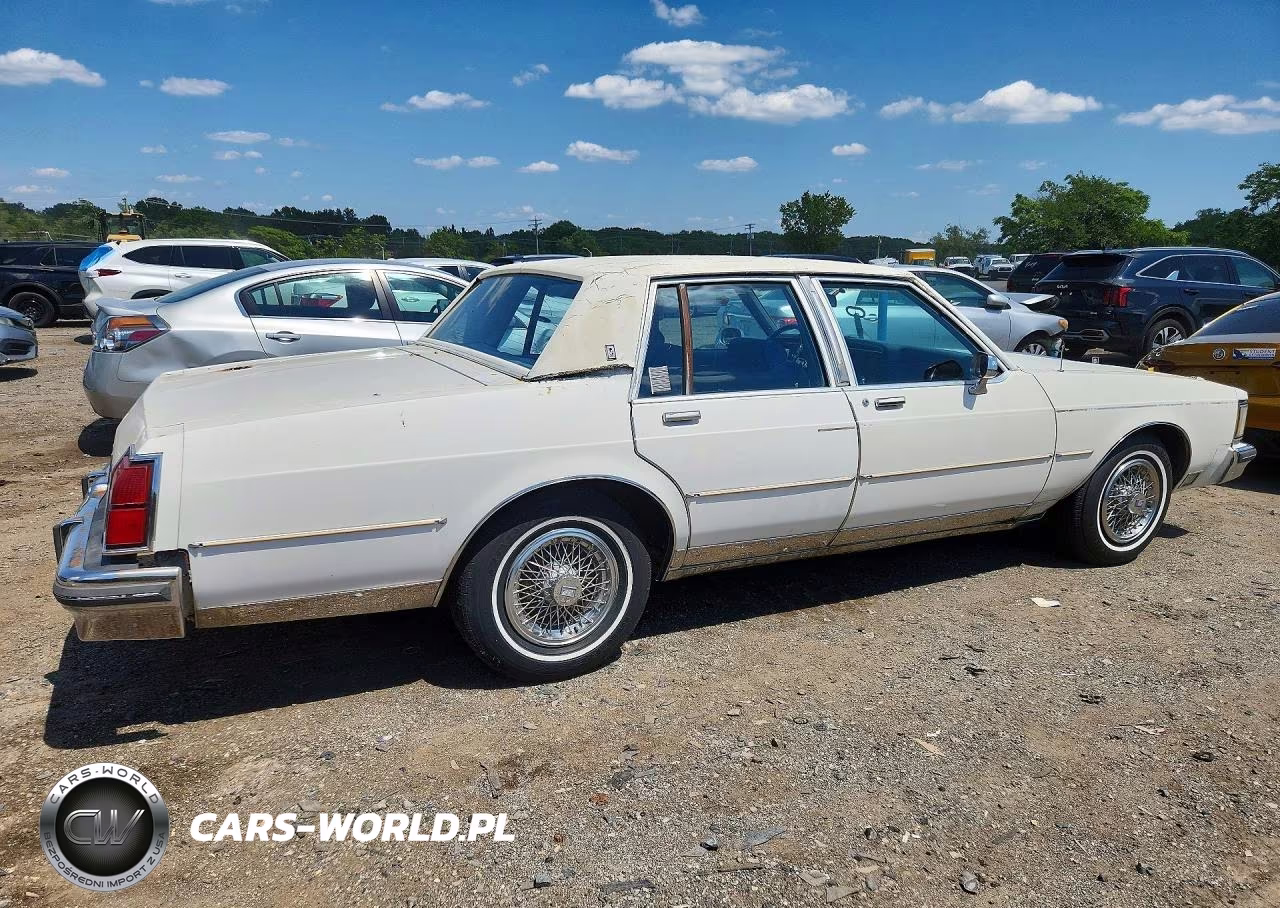 1984 Oldsmobile Delta 88 Royale Brougham Ls VIN:1G3AV69Y8E9749245 - 3