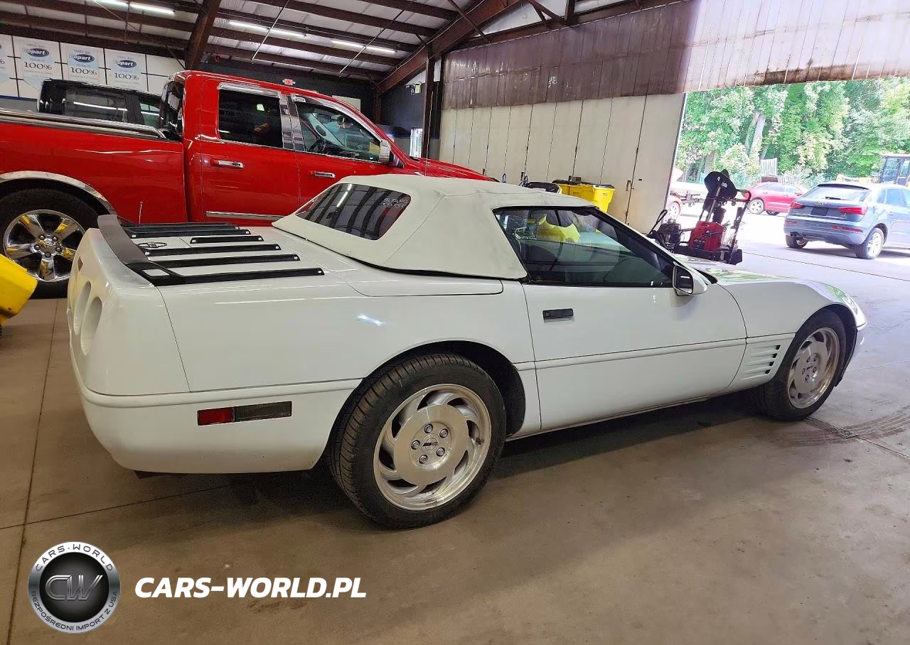 1994 Chevrolet Corvette VIN:1G1YY32P7R5106378 - 3
