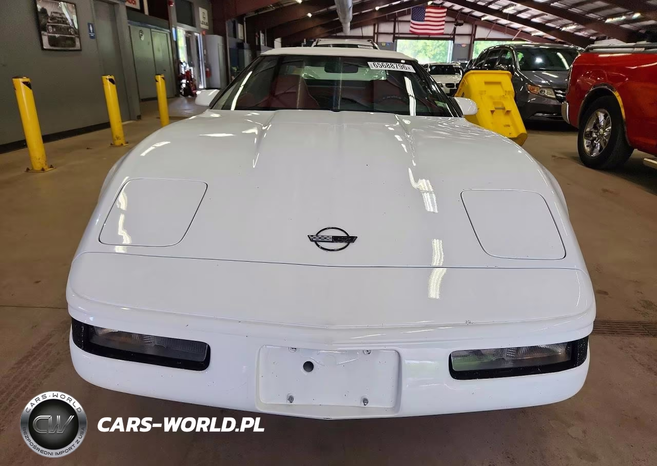 1994 Chevrolet Corvette VIN:1G1YY32P7R5106378 - 5