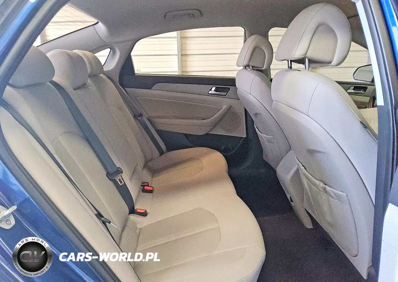 2016 Hyundai Sonata Eco VIN:5NPE24AA9GH426667 - 10
