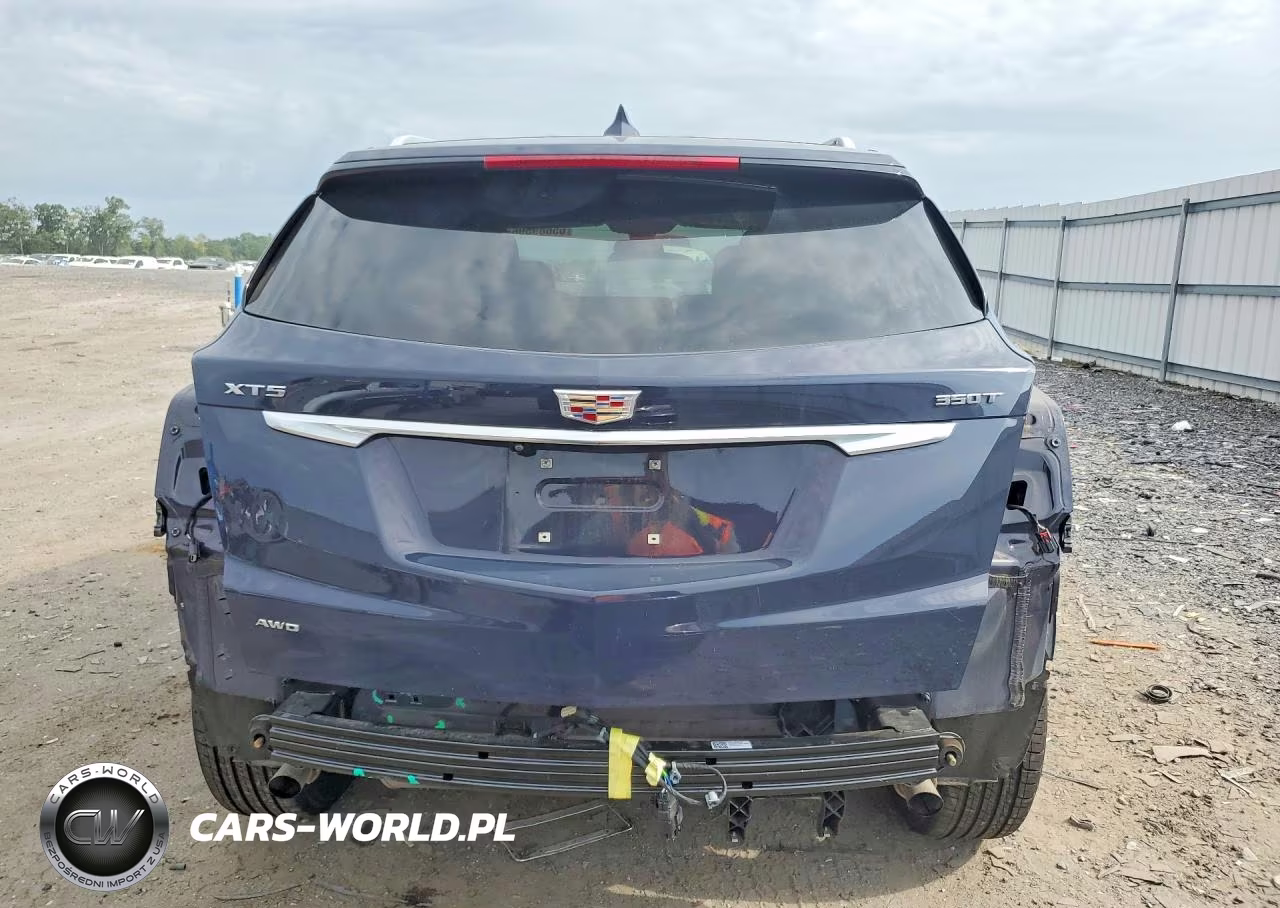 2024 Cadillac Xt5 Premium Luxury VIN:1GYKNDR41RZ745558 - 6