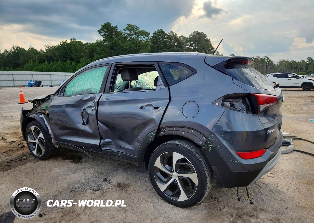 2017 Hyundai Tucson Sport VIN:KM8J33A25HU352164 - 2