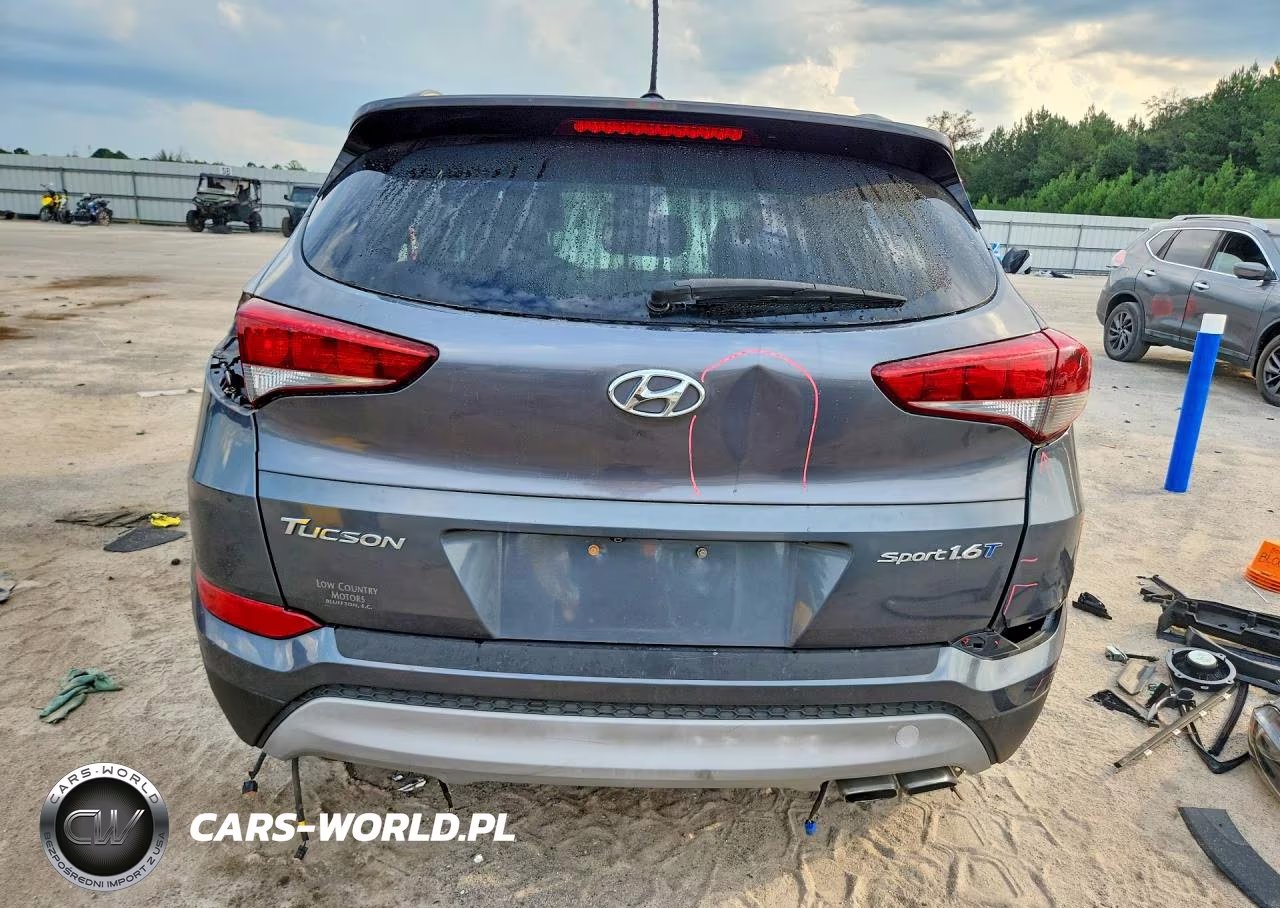 2017 Hyundai Tucson Sport VIN:KM8J33A25HU352164 - 6