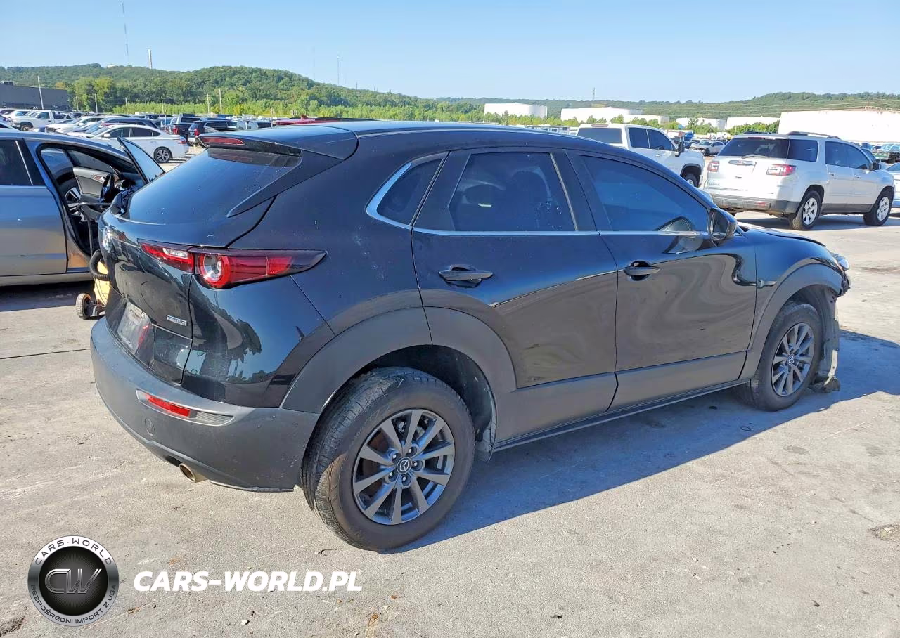 2021 Mazda Cx-30 Cx-30 VIN:3MVDMAAL7MM250146 - 3