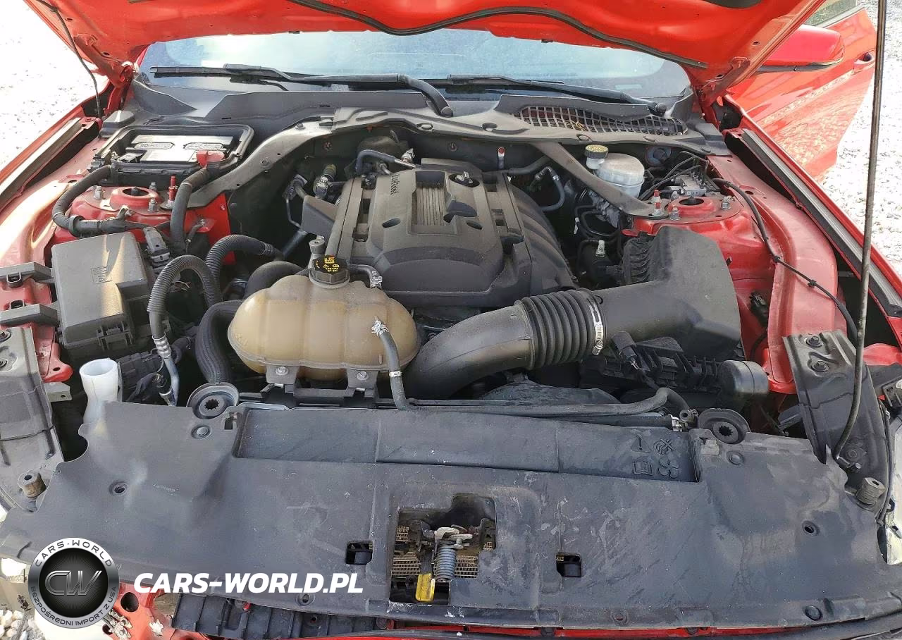 2020 Ford Mustang VIN:1FATP8UH7L5118776 - 11