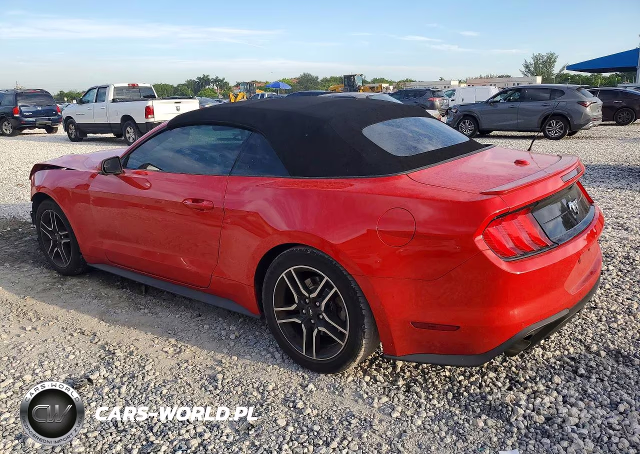 2020 Ford Mustang VIN:1FATP8UH7L5118776 - 2