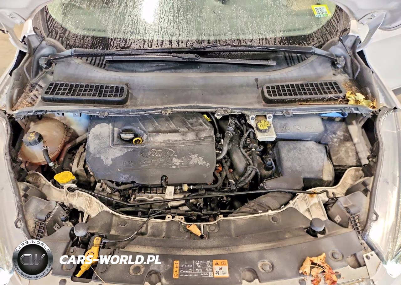 2018 Ford Escape Sel VIN:1FMCU9HD7JUC66179 - 12