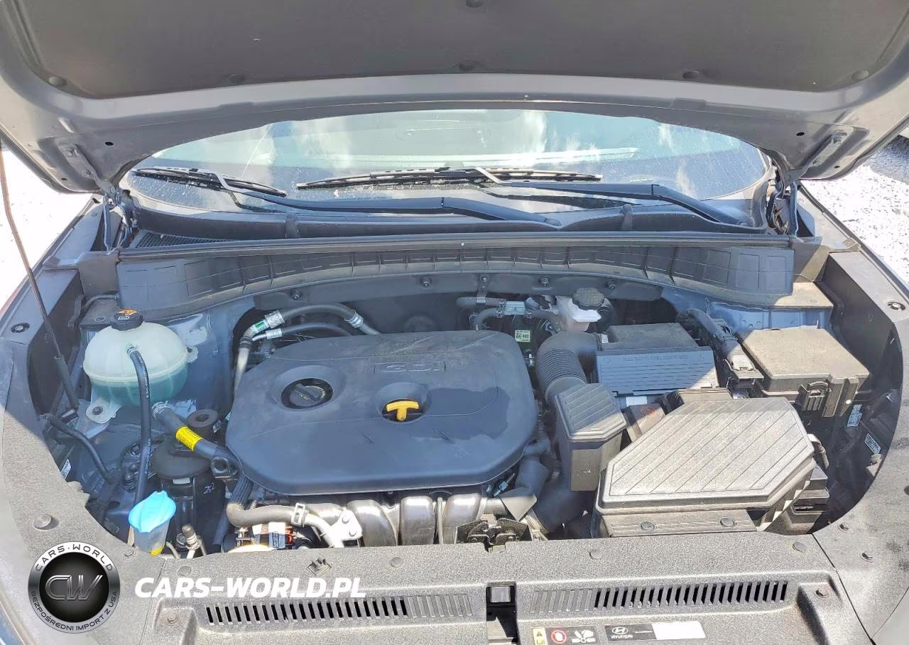 2021 Hyundai Tucson Value VIN:KM8J33A42MU313107 - 12