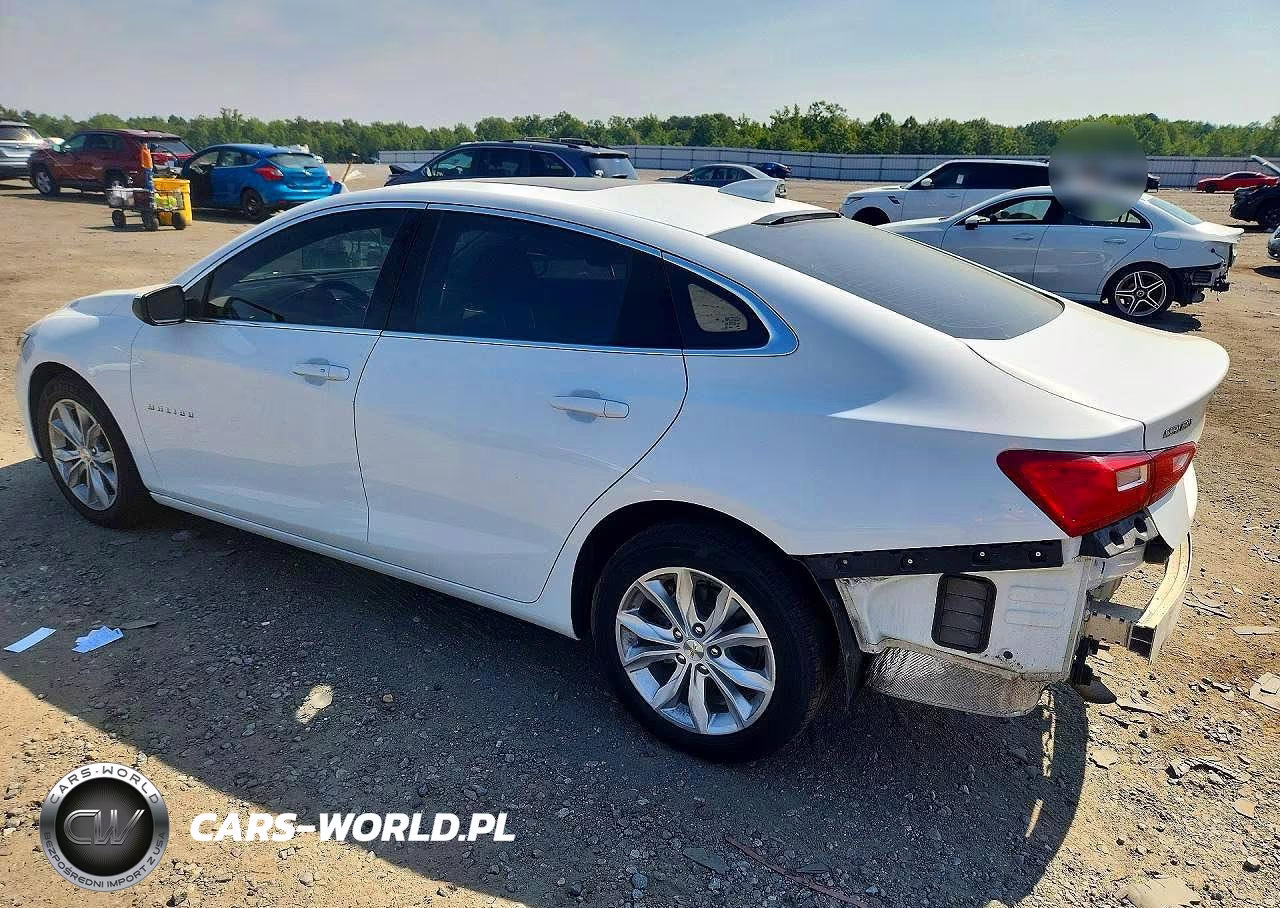 2024 Chevrolet Malibu Lt VIN:1G1ZD5ST4RF177735 - 2