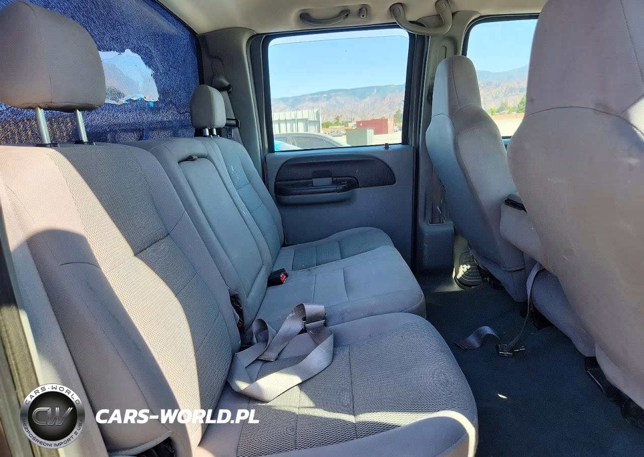 2006 Ford F250 Super Duty VIN:1FTSW20P96EC32463 - 10