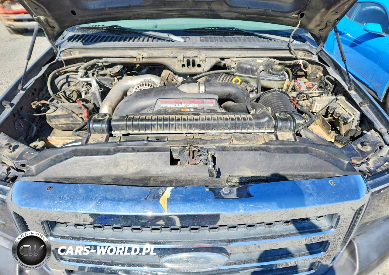 2006 Ford F250 Super Duty VIN:1FTSW20P96EC32463 - 11