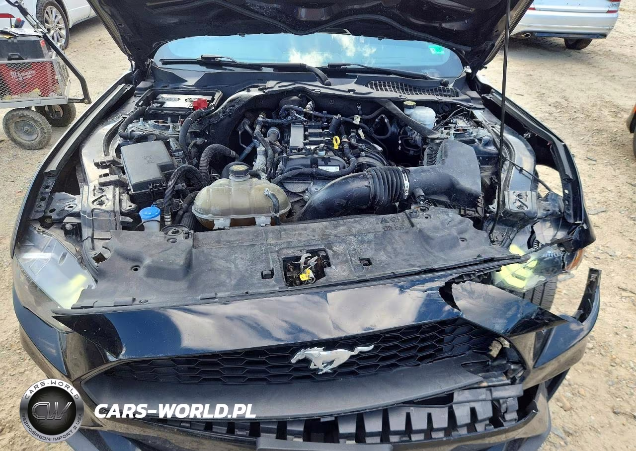 2021 Ford Mustang VIN:1FATP8UH1M5107144 - 11