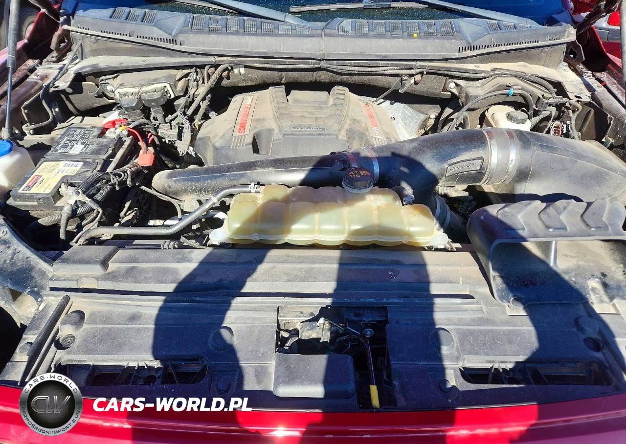 2020 Ford F150 Raptor VIN:1FTFW1RG1LFA72082 - 11