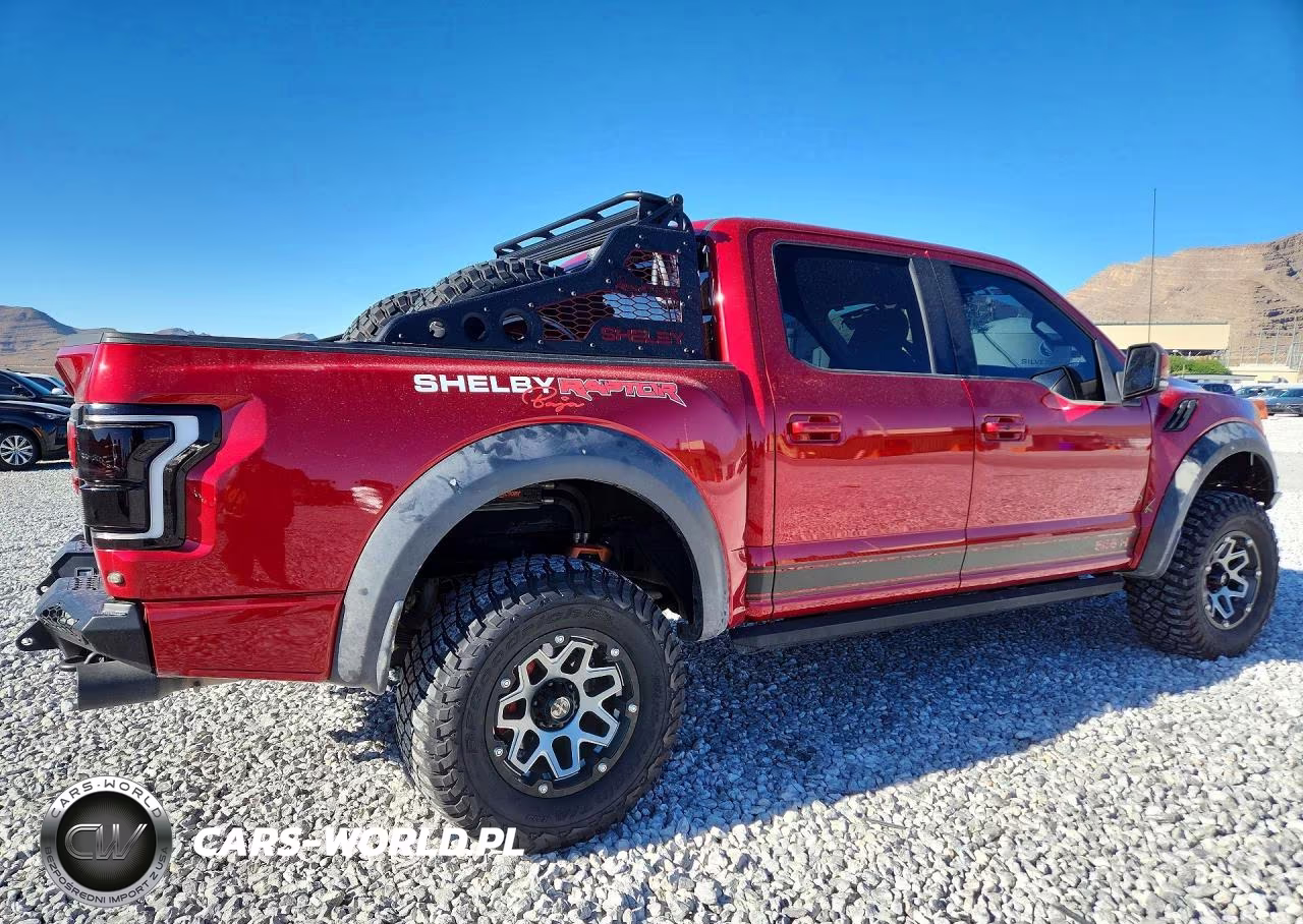 2020 Ford F150 Raptor VIN:1FTFW1RG1LFA72082 - 3