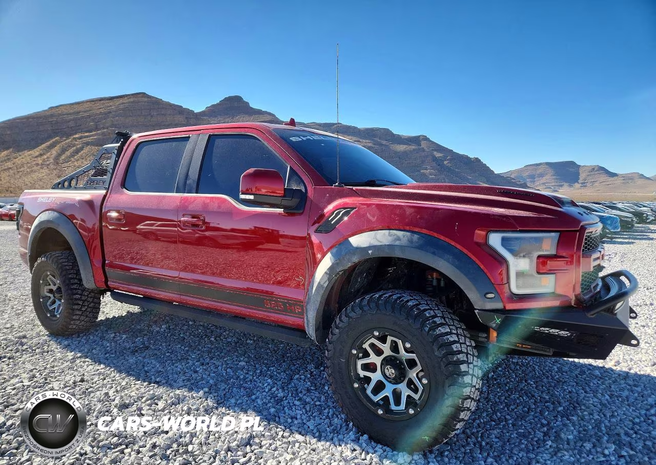 2020 Ford F150 Raptor VIN:1FTFW1RG1LFA72082 - 4