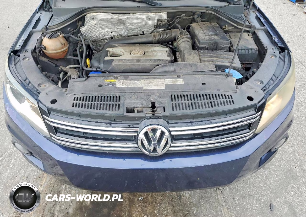 2014 Volkswagen Tiguan S VIN:WVGAV3AX9EW519213 - 12