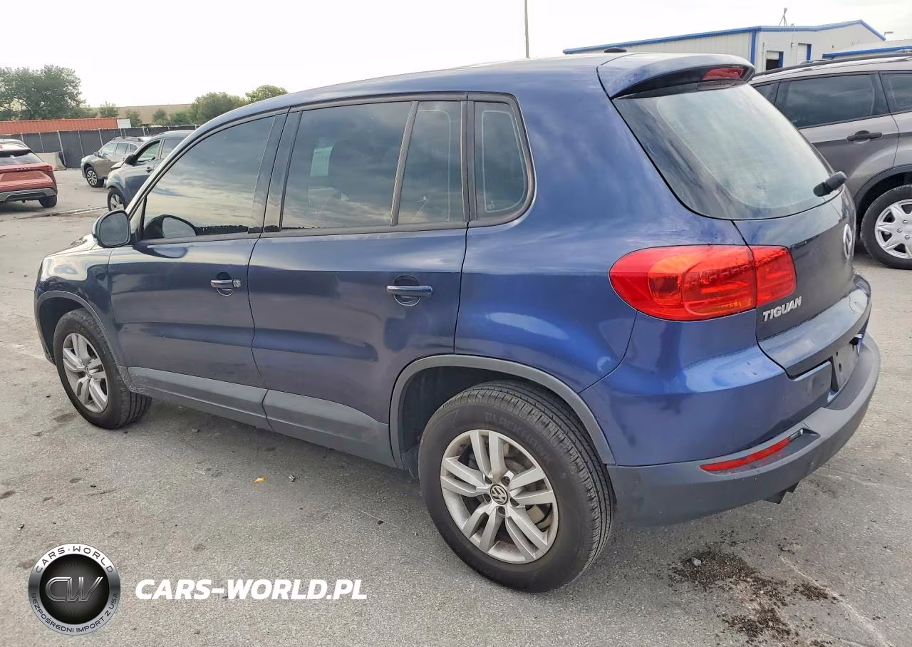 2014 Volkswagen Tiguan S VIN:WVGAV3AX9EW519213 - 2