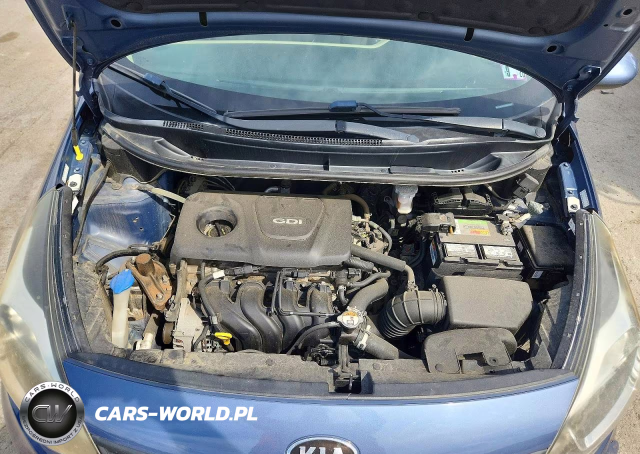 2016 Kia Rio Lx VIN:KNADM4A35G6684800 - 11