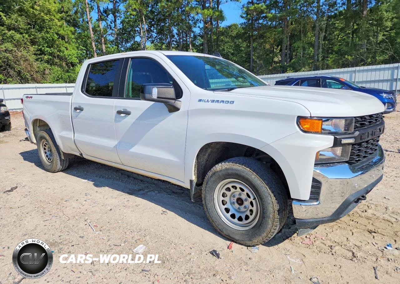 2020 Chevrolet Silverado K1500 VIN:1GCPYAEH0LZ295595 - 4
