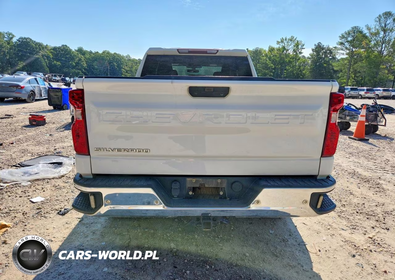2020 Chevrolet Silverado K1500 VIN:1GCPYAEH0LZ295595 - 6