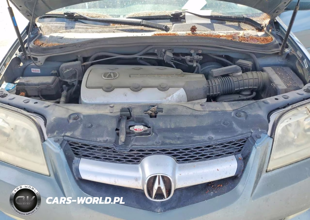 2006 Acura Mdx Touring VIN:2HNYD189X6H502559 - 12