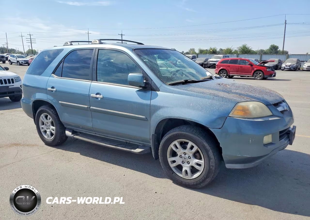 2006 Acura Mdx Touring VIN:2HNYD189X6H502559 - 4