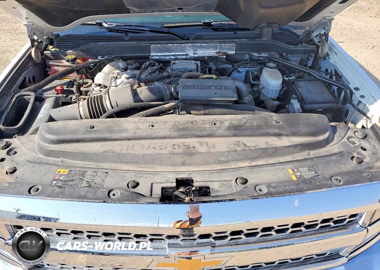 2019 Chevrolet Silverado K2500 Heavy Duty VIN:1GC1KREY3KF136401 - 11