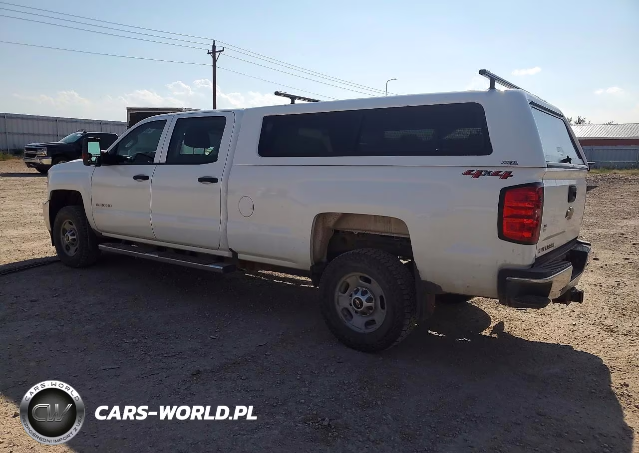 2019 Chevrolet Silverado K2500 Heavy Duty VIN:1GC1KREY3KF136401 - 2