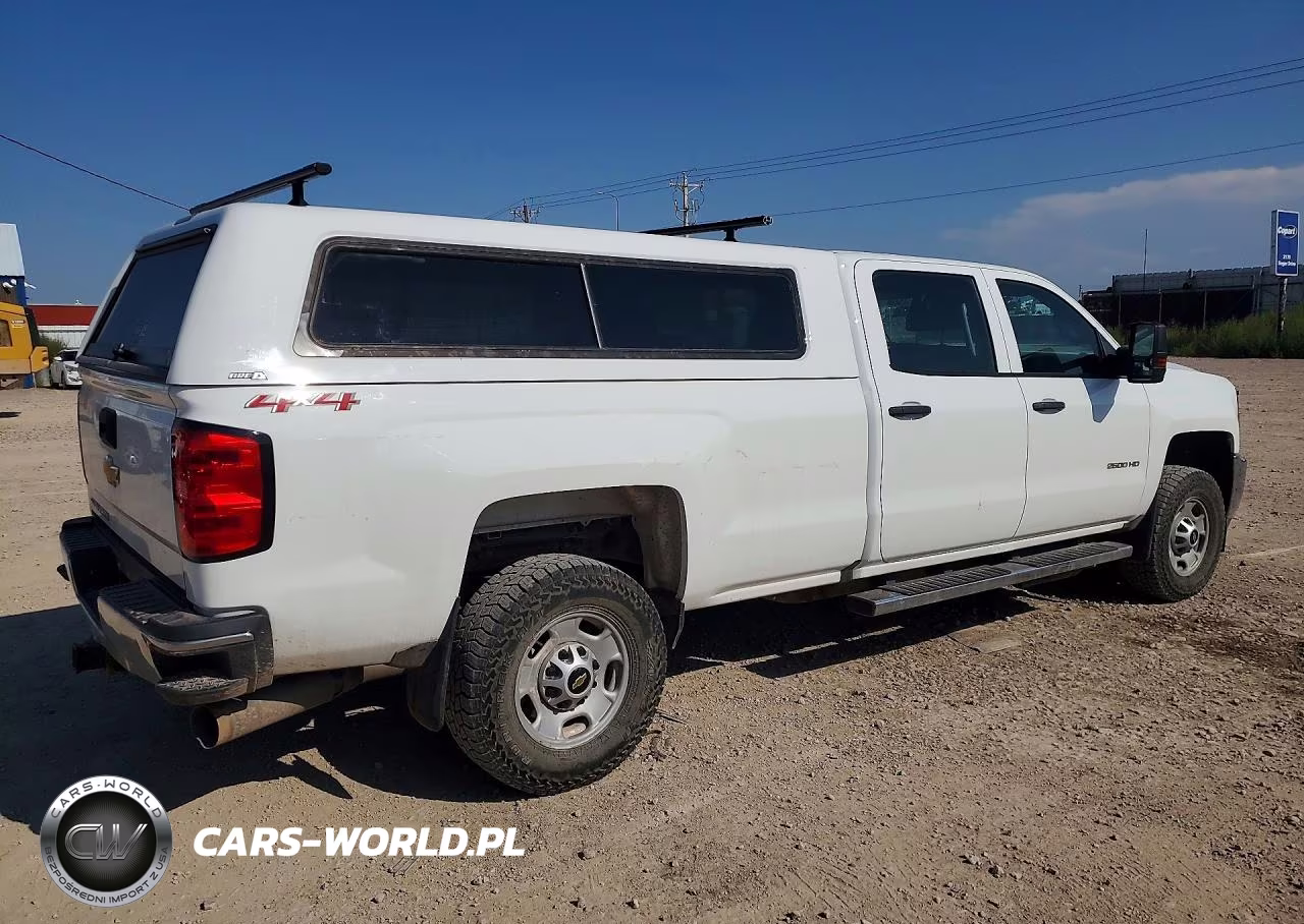 2019 Chevrolet Silverado K2500 Heavy Duty VIN:1GC1KREY3KF136401 - 3