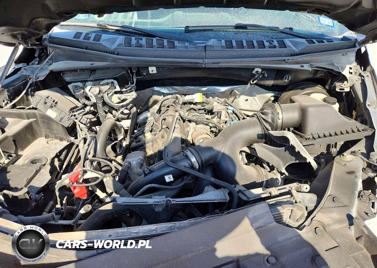 2019 Ford F150 Supercrew VIN:1FTEW1CP9KKE90173 - 11
