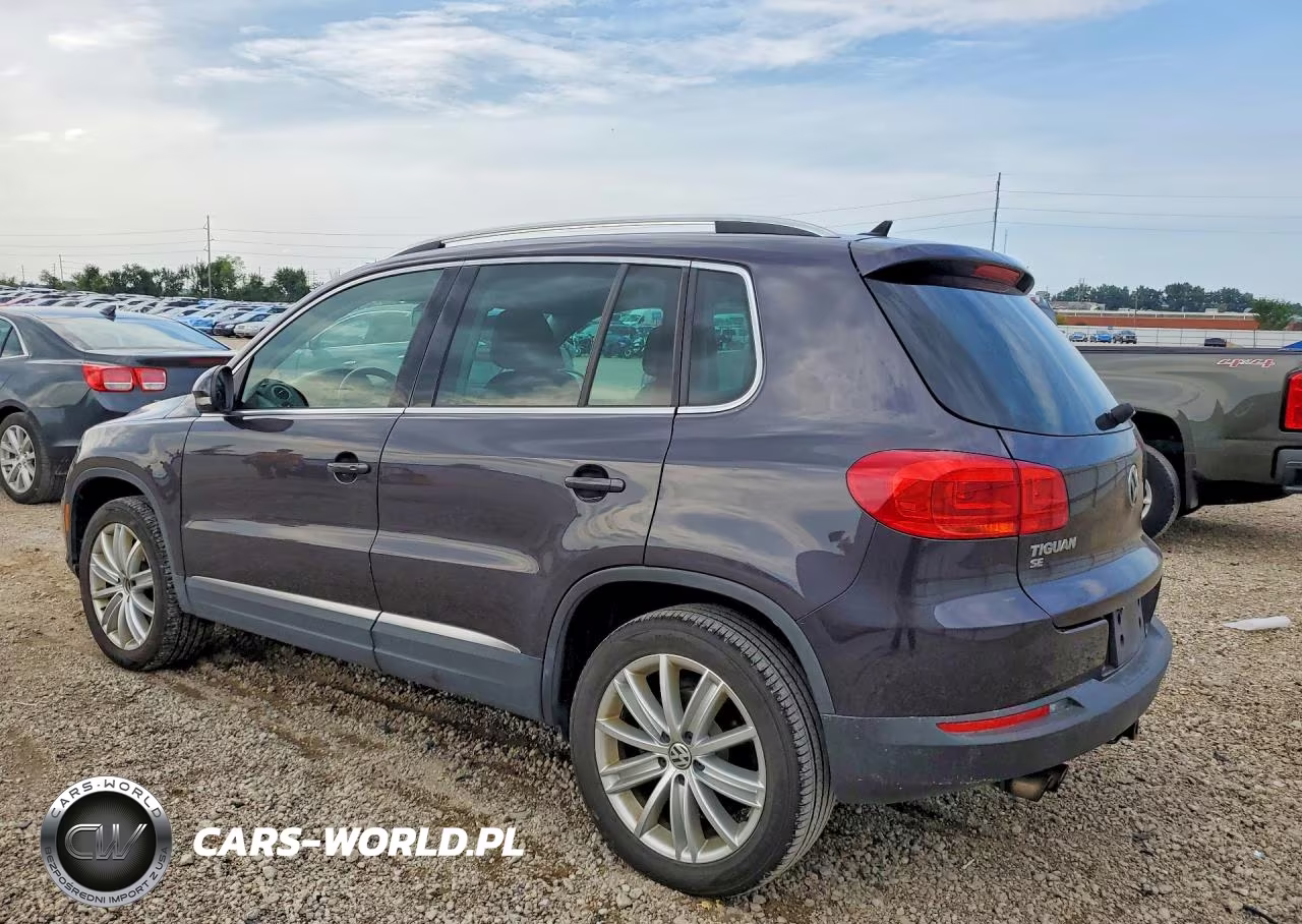 2016 Volkswagen Tiguan S VIN:WVGAV7AX3GW529133 - 2