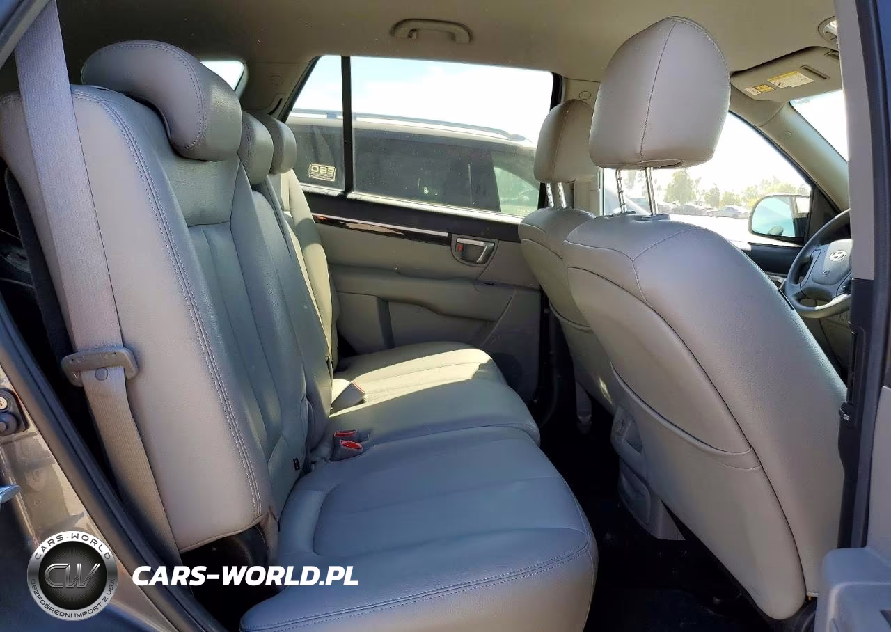 2009 Hyundai Santa Fe Gls VIN:5NMSG13DX9H322456 - 11